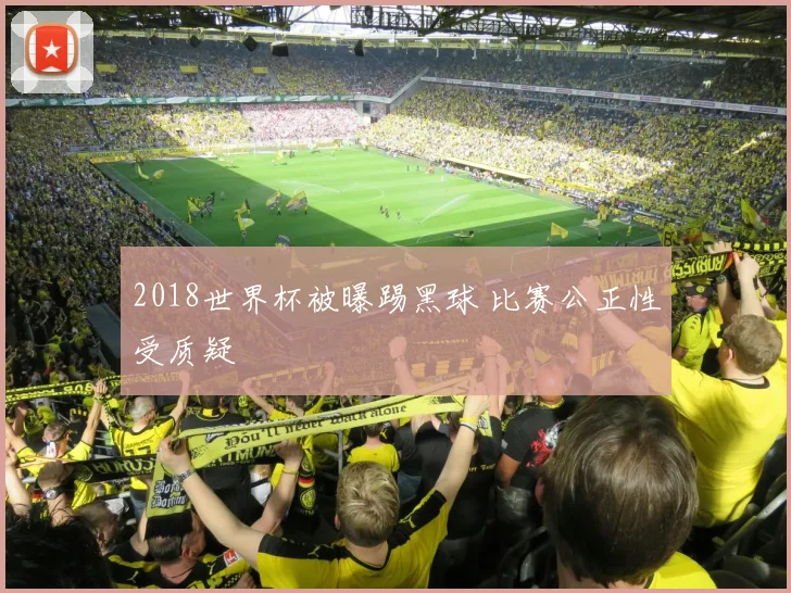 2018世界杯被曝踢黑球 比赛公正性受质疑