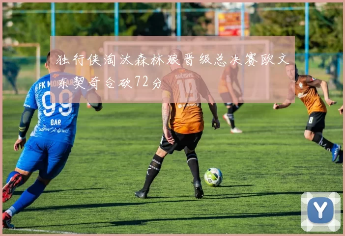 独行侠淘汰森林狼晋级总决赛欧文东契奇合砍72分